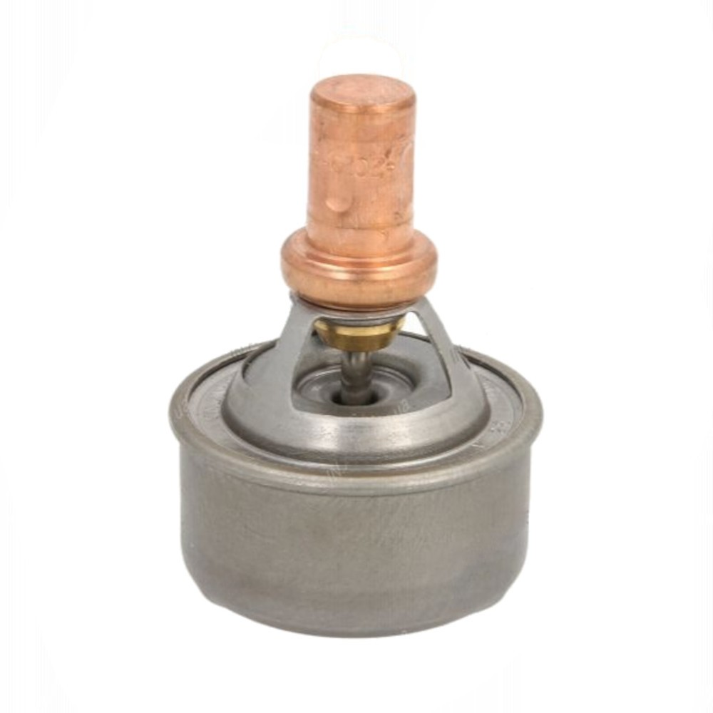 [4495.89] TERMOSTATO TWINGO