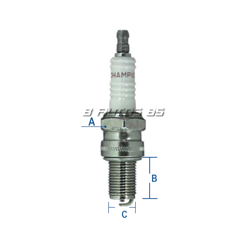 [N21/504] BUJIA CHAMPION 